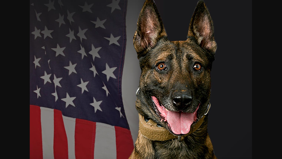 ‘Heart of a Warrior’: LA County Sheriff’s Department Mourns K9 Jack Killed in Two-Day Standoff