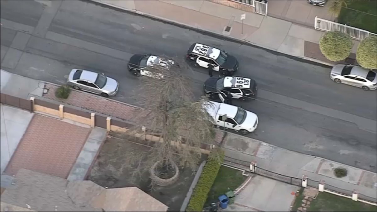 Man Charged With Animal Cruelty After Allegedly Stabbing Dogs in Sun ...