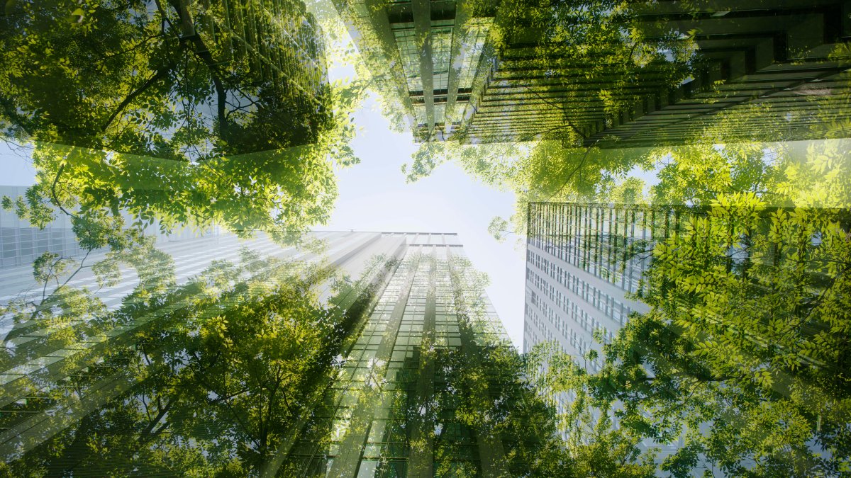 'Green' Offices in London Are Over 25% More Expensive. But a Modern Workforce Now Expects It – NBC Los Angeles - Vimarsana News