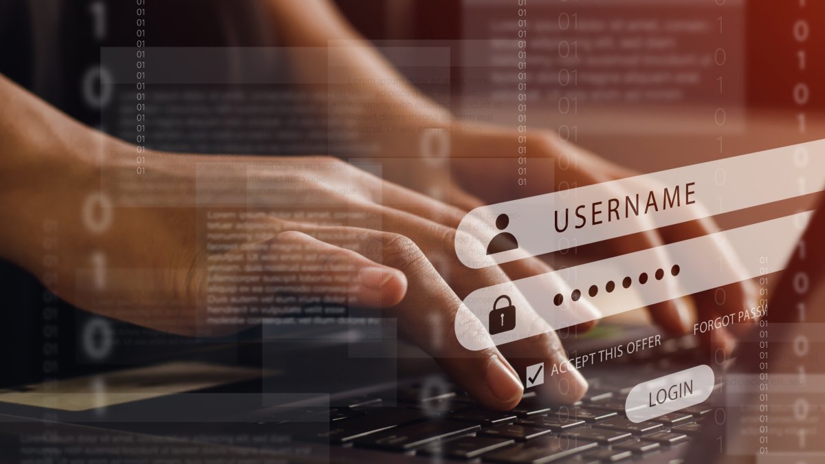 How to Find a Job in the One Tech Market That Is Not Seeing Layoffs: Cybersecurity - Vimarsana News