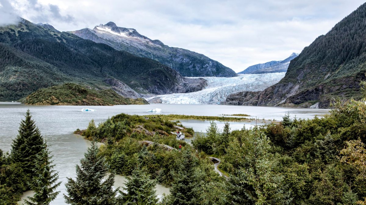 Biden Restores Protections for Alaska's Tongass National Forest After Trump Rollback - Vimarsana News