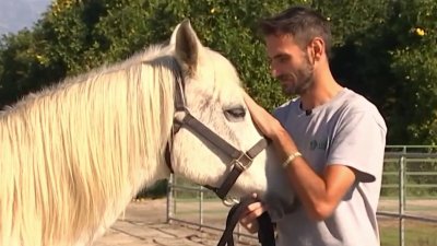 Veterans Find Healing in Horses
