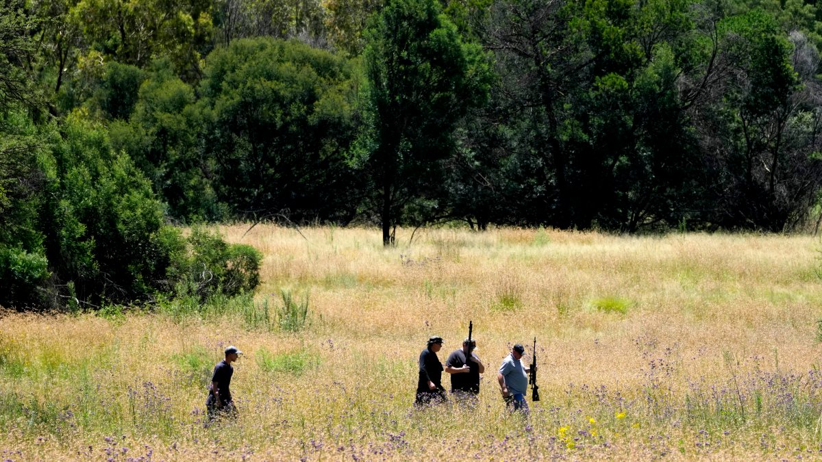 Tiger Attacks Man After Escaping Enclosure in South Africa; Area Residents Warned to Be on High Alert - Vimarsana News