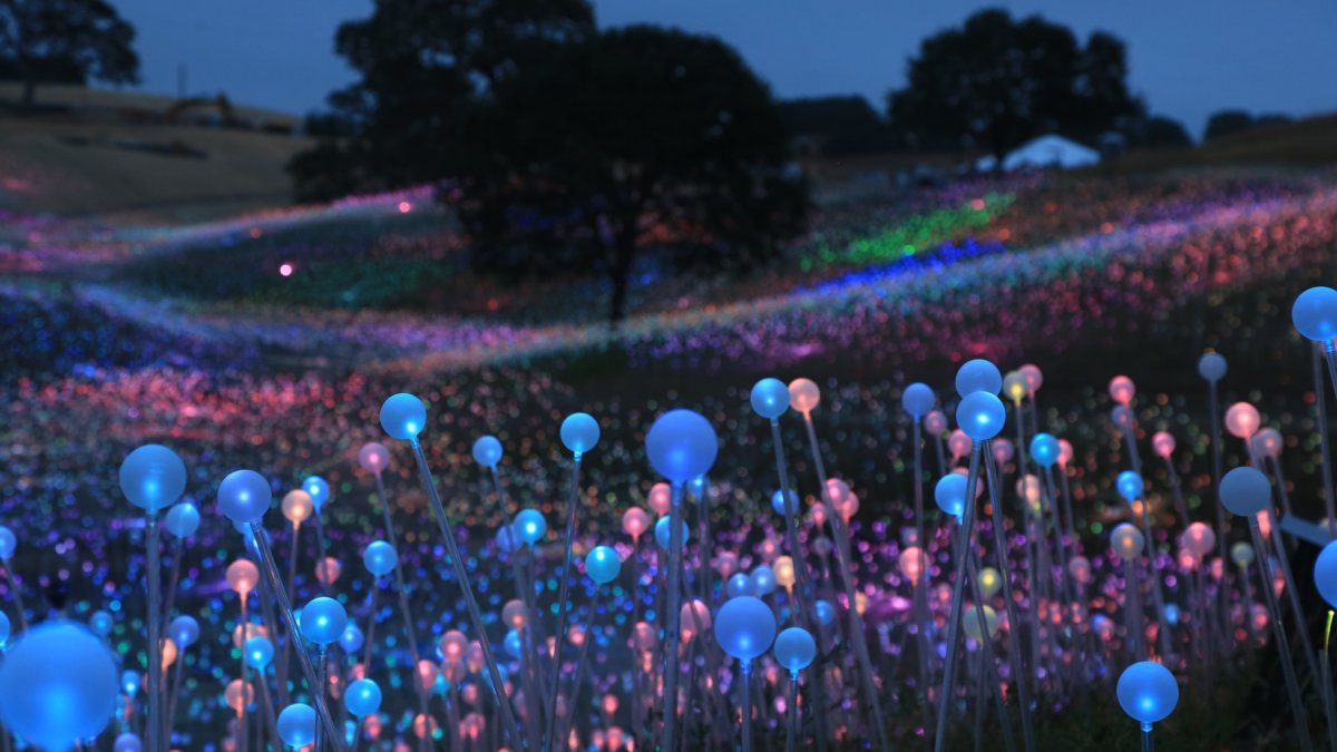 Spring Break Aglow ‘Sensorio’ Offers a Special Discount on Kid