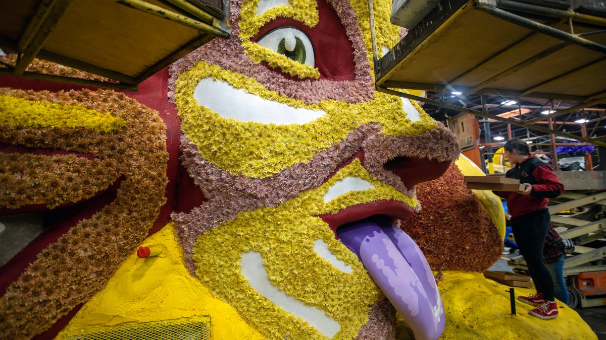 Images See 2023 Rose Parade Floats Up Close Nbc Los Angeles 1521