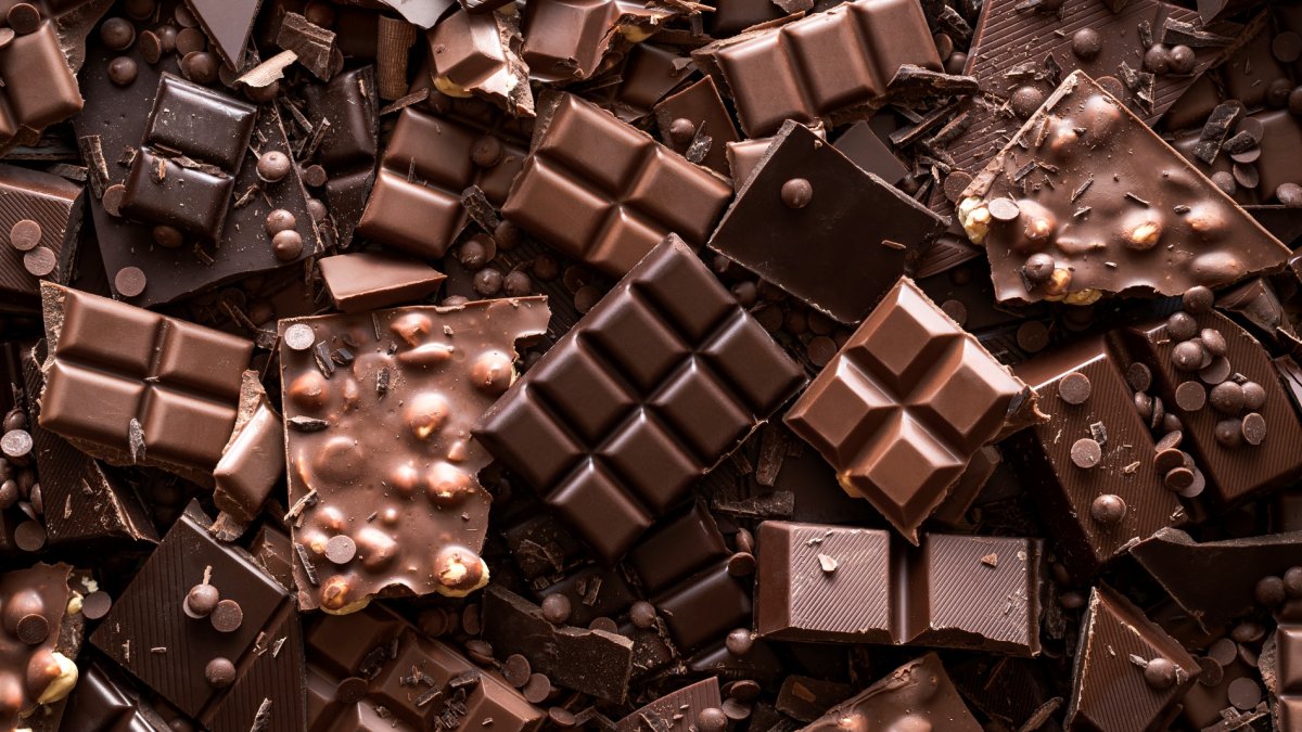 Pase un dulce domingo de Santa Ana en este festival mundial del chocolate – Telemundo 52