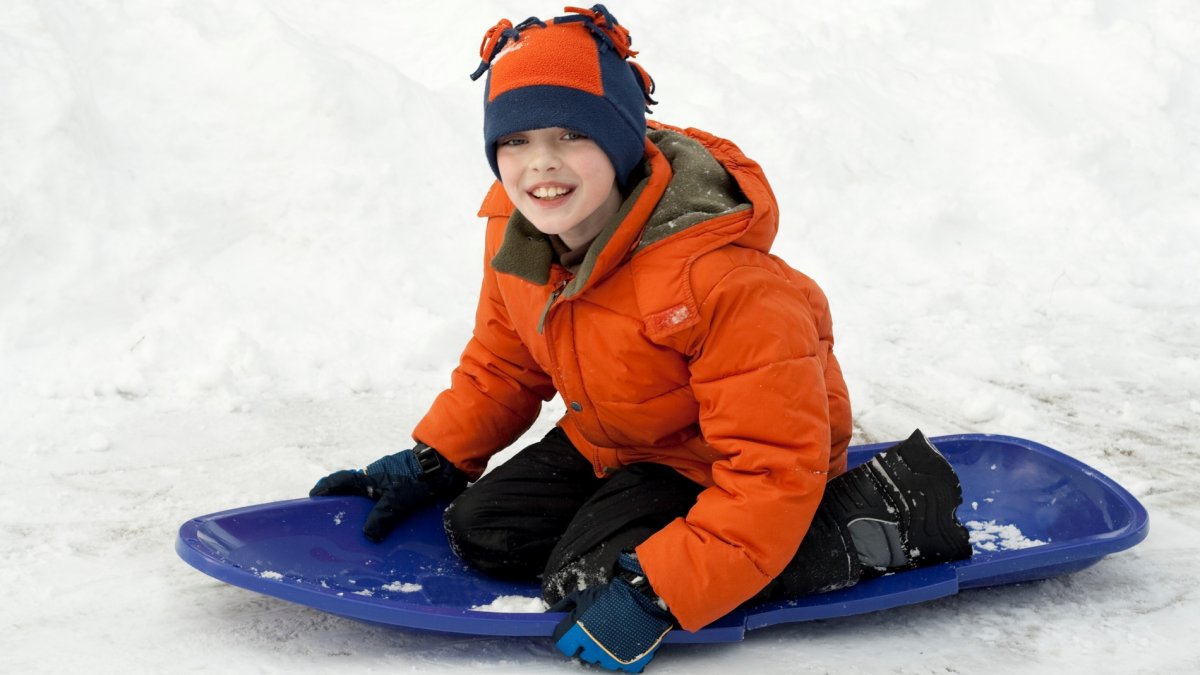 Sledding Is in the Forecast at the Snow Leopard Festival NBC Los Angeles