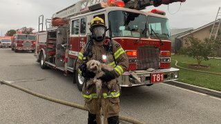 Orange County firefighters rescued a dog Thursday Jan. 19, 2023 from a burning home in Garden Grove.