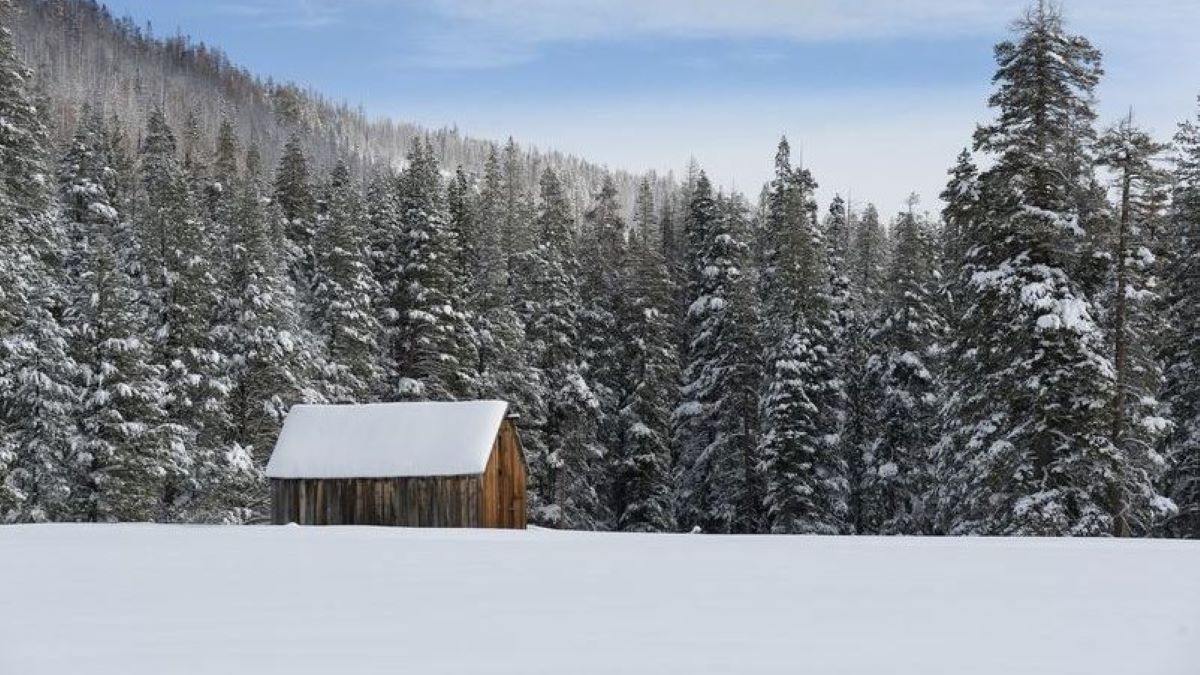 Map: Here’s What Early Winter Storms Meant for California’s Drought