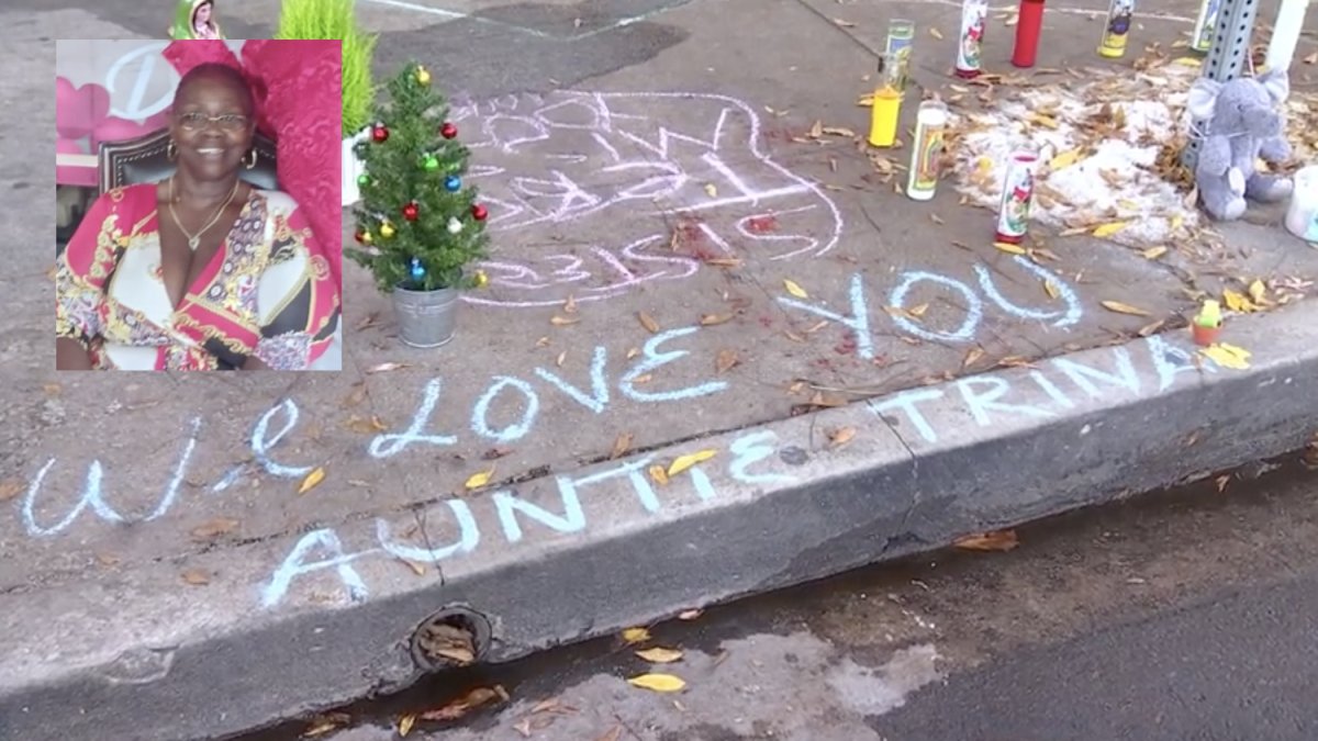 Arrest After Foster Mom Killed in Christmas Eve Hit-and-Run in South LA – NBC Los Angeles - Vimarsana News