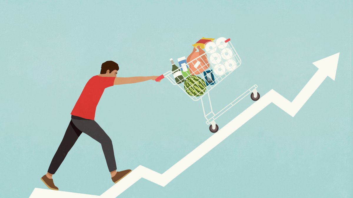 Household Budgets Are Shredded: These Stocks Will Benefit as Consumers Trade Down to Store Brands - Vimarsana News