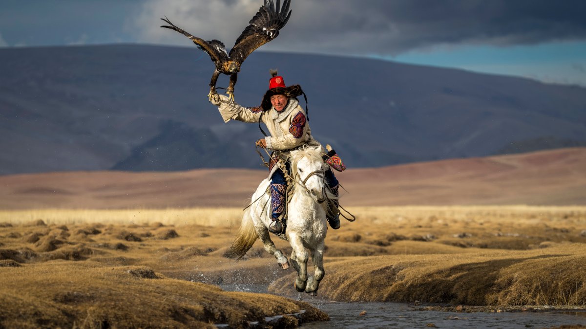 See the Photos That Won National Geographic's 'Pictures of the Year' Contest – NBC Los Angeles - Vimarsana News