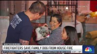 Los Angeles Firefighter Resuscitates Dog in House Fire