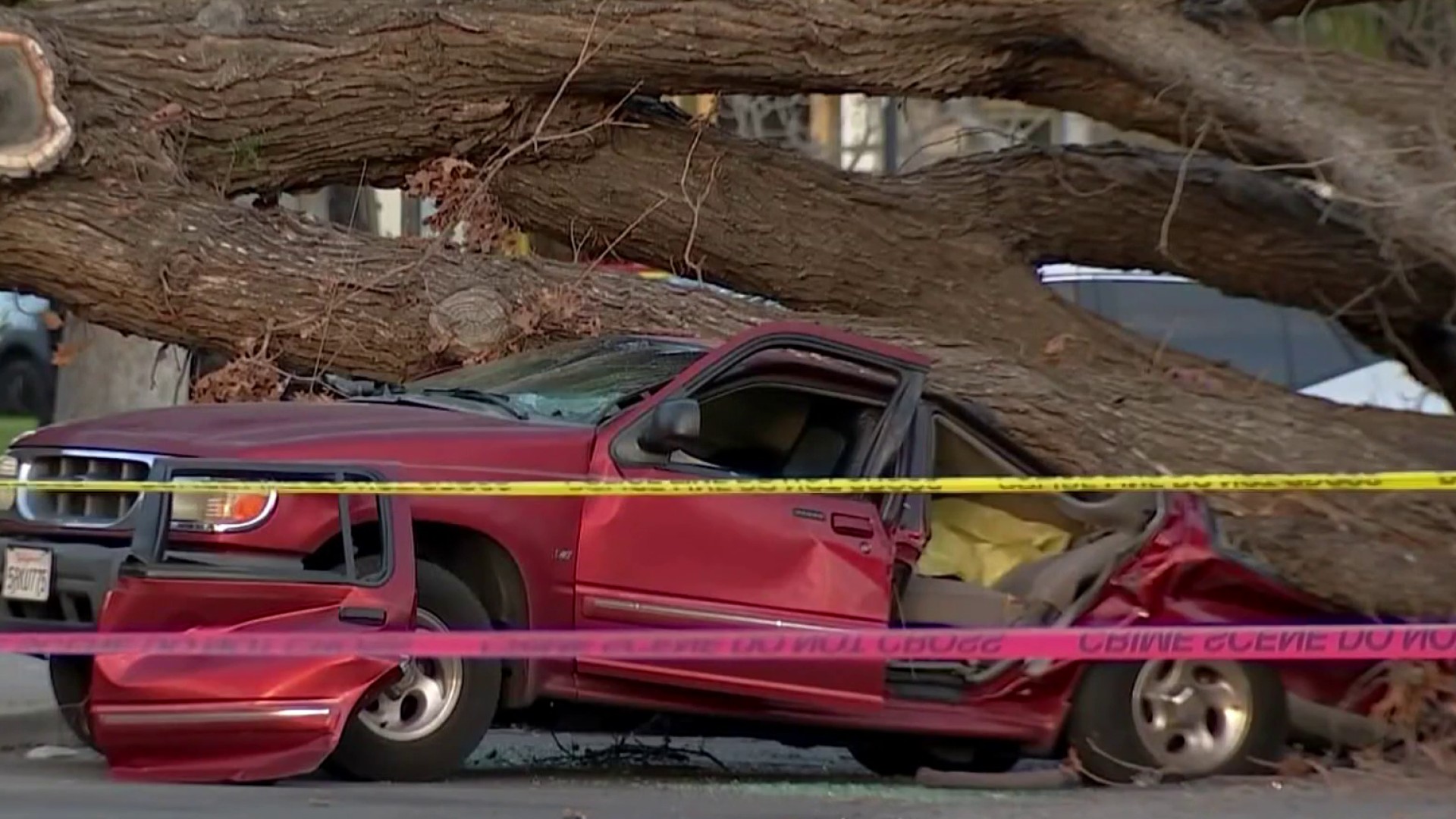 Anaheim Mom Dies After Tree Falls on Car as Son Played Nearby