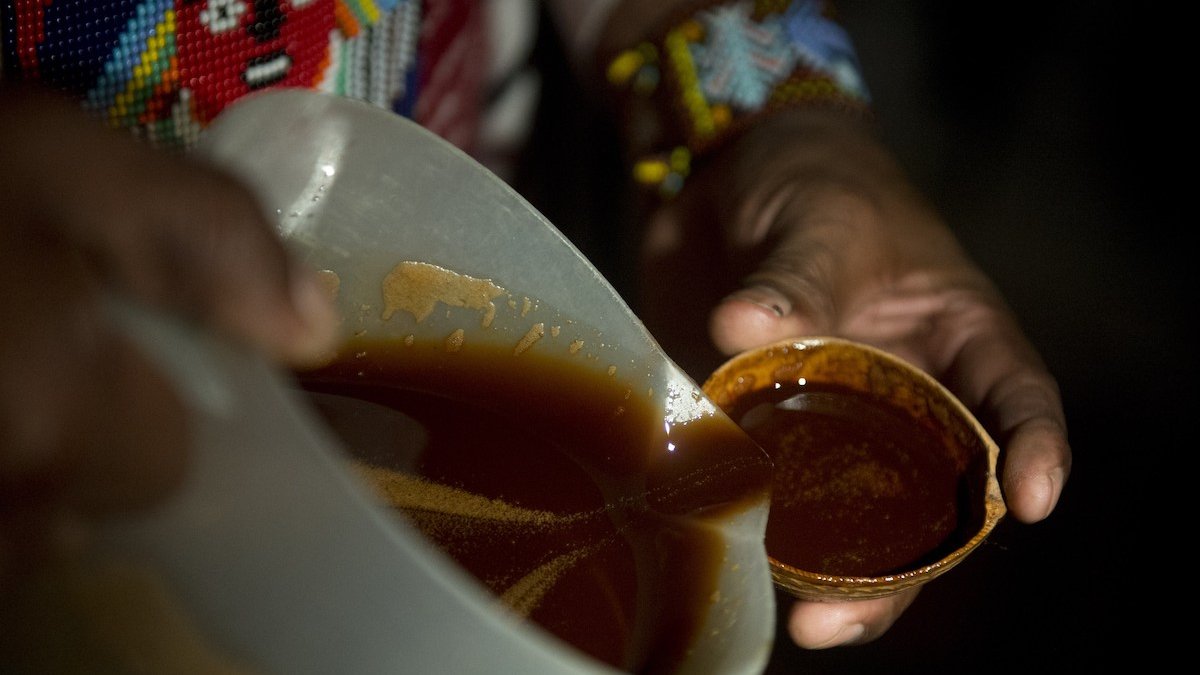 What Is Ayahuasca? Treatments, Legality, Side Effects and More – NBC Los Angeles - Vimarsana News