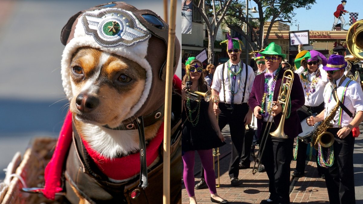 Beads, Pups, and Gumbo: Celebrate Mardi Gras at the Original Farmers Market - Vimarsana News