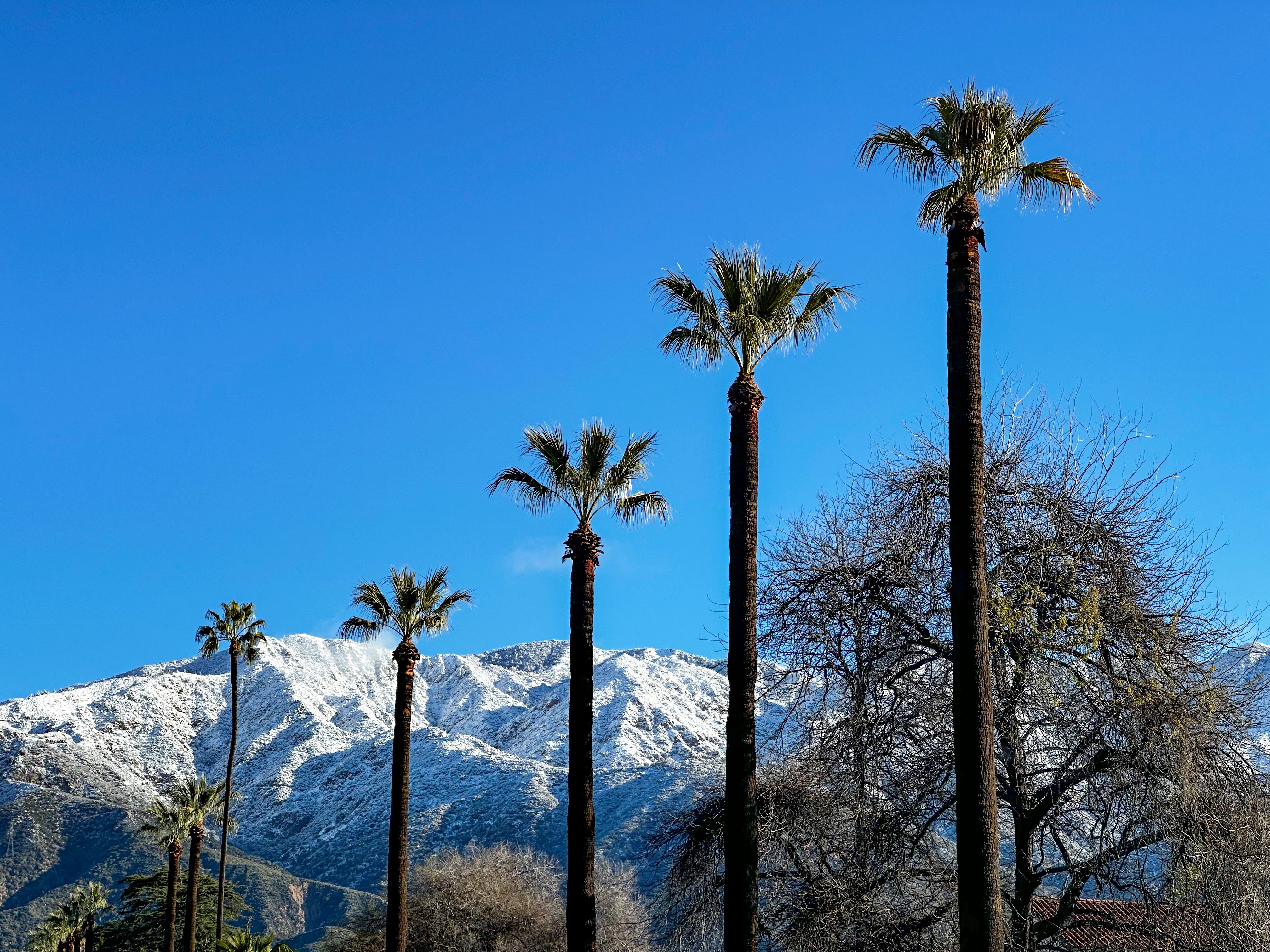 SoCal Weather Photos Scenes From the LateFebruary Winter Storm NBC Los Angeles