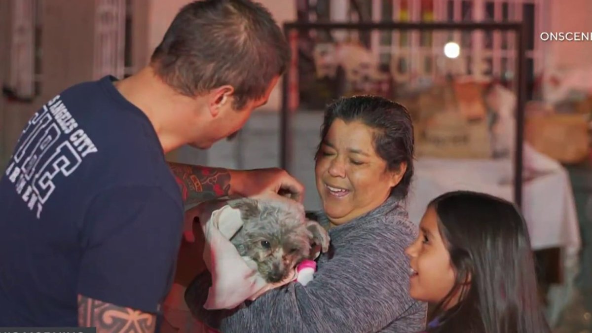 Watch: LAFD Firefighter Resuscitates Dog Found Unresponsive Outside Burning Florence Home