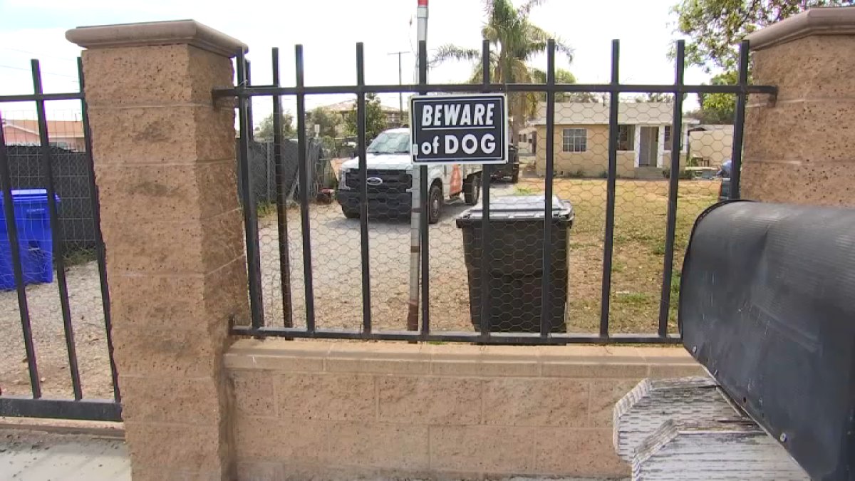 Man Mauled to Death by Four Dogs in Jurupa Valley - Vimarsana News