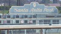 Eighth Horse Dies at Santa Anita Race Track