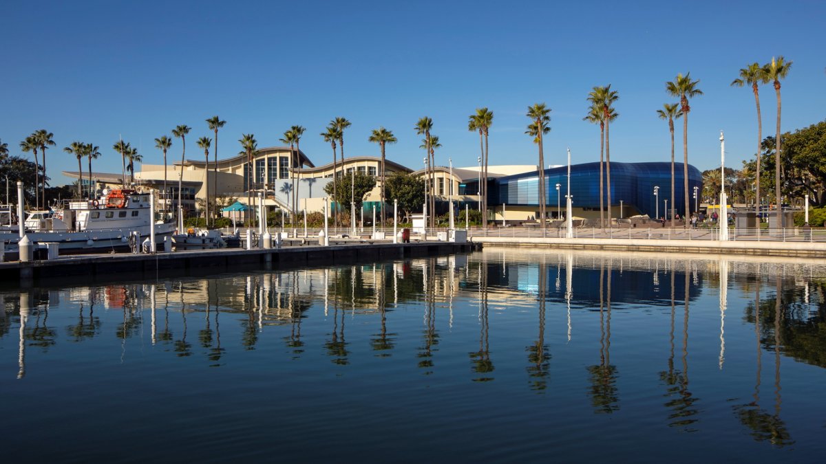 The Aquarium of the Pacific is diving into 2024 with several splashy events in tow - Vimarsana News