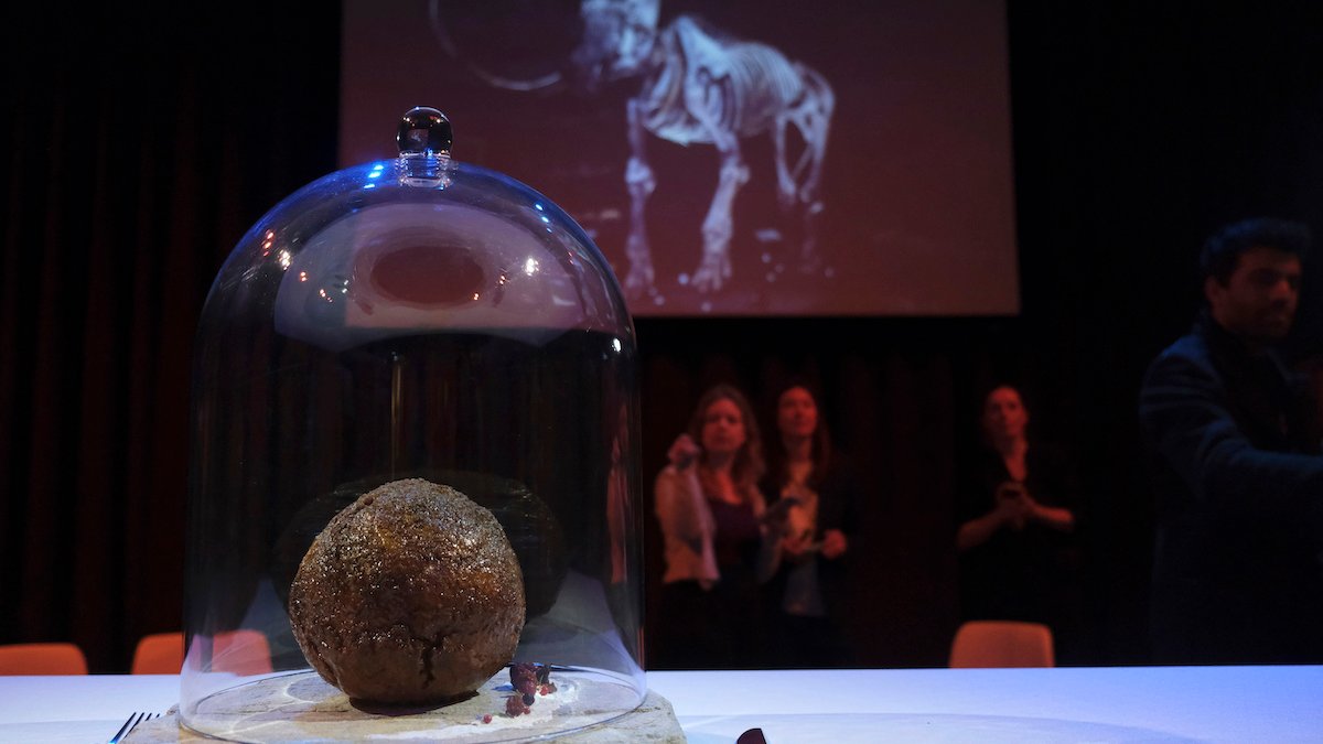 Startup Unveils Meatball Made With Mammoth DNA – NBC Los Angeles - Vimarsana News