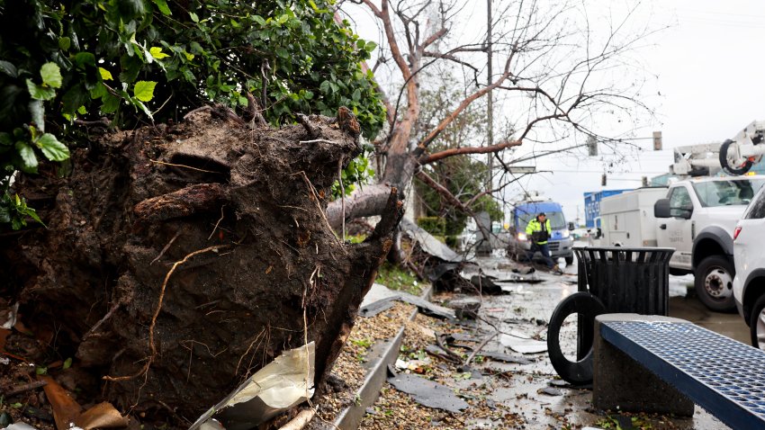 MONTEBELLO, CALIFORNIA – MARCH 22: A utility worker walks near an uprooted tree after a possible rare tornado touched down and ripped up building roofs in a Los Angeles suburb on March 22, 2023 in Montebello, California. Another Pacific storm has been pounding California with heavy rain, high winds, and snow.  (Photo by Mario Tama/Getty Images)