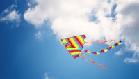 The colorful coastal kite season is fluttering on the stiff breezes of spring