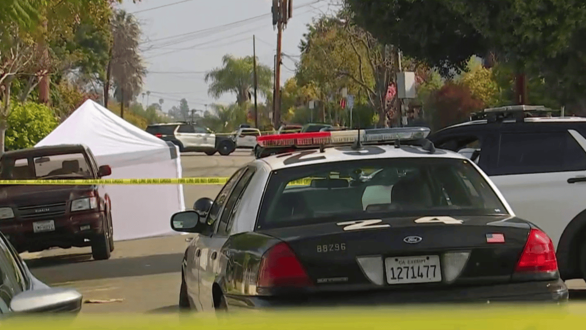 Pedestrian Killed in Highland Park Hit-and-Run – NBC Los Angeles