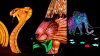 Colorful Critters Bewitch After Dark at This Desert Glow Show