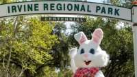 Everybunny get happy: A beloved railroad's ‘Easter Eggstravaganza' is here