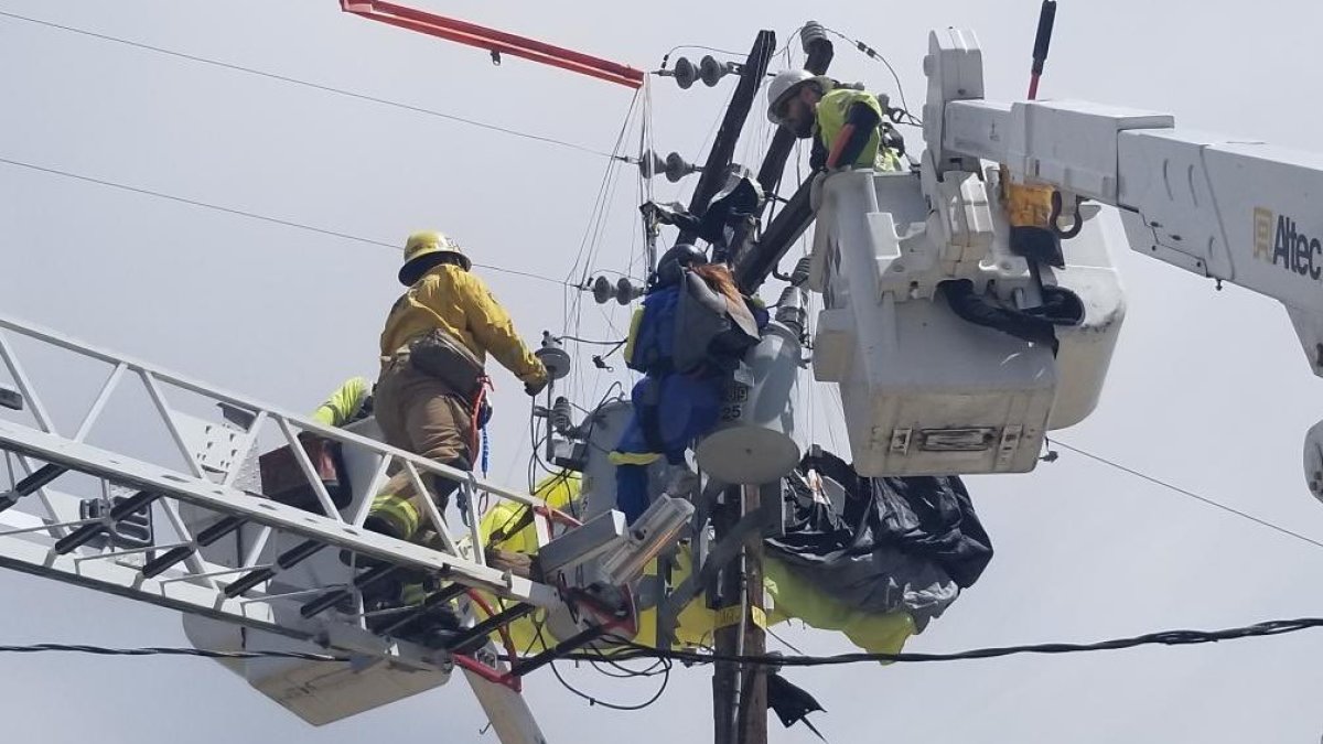 Firefighters Rescue Skydiver Tangled in Power Lines – NBC Los Angeles - Vimarsana News