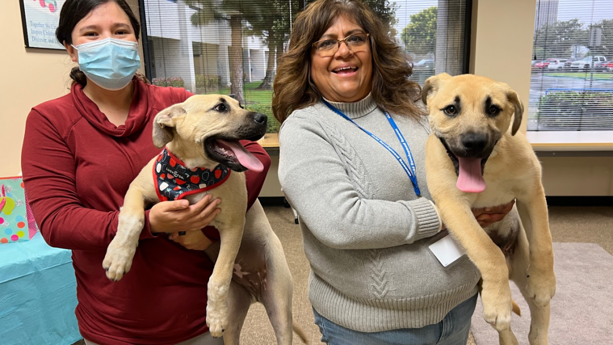 Co-workers in Oxnard Become Family – Thanks to Puppy Cupid – NBC Los Angeles - Vimarsana News