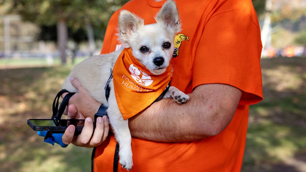 Pasadena Humane’s ‘Wiggle Waggle Walk’ Trots Into Its FirstEver