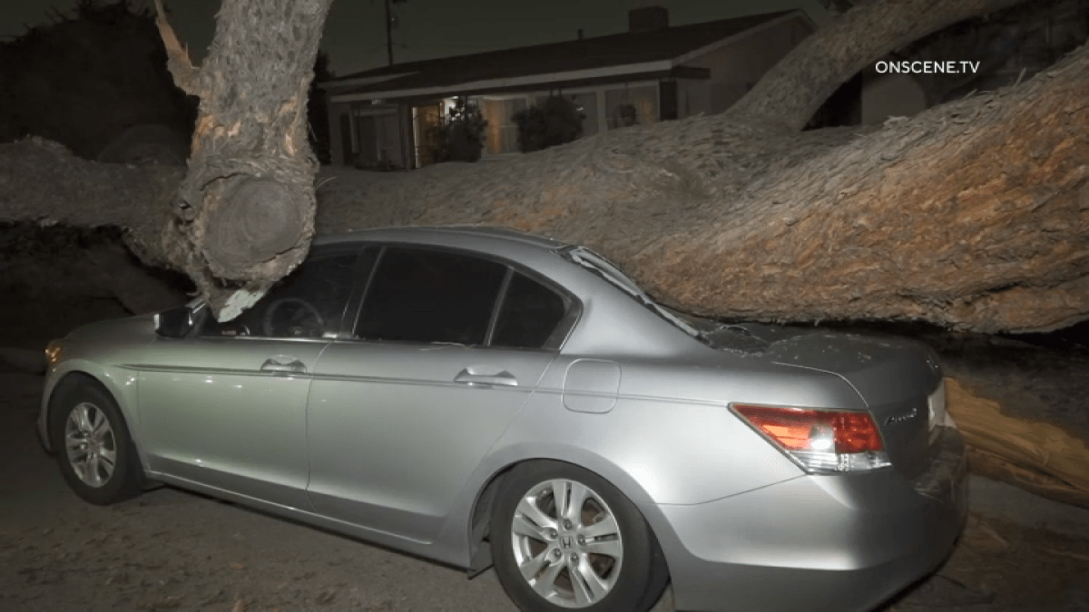 Árbol aplasta auto y casi pierde casa en Whittier – Telemundo 52 Árbol aplasta auto y casi pierde casa en Whittier – Telemundo 52