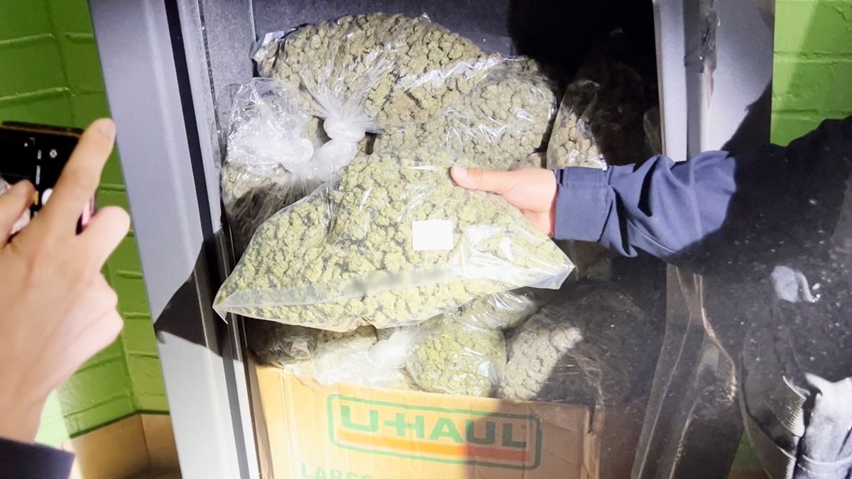Arrests Spike as CA Cracks Down on Illegal Pot Shops – NBC Los Angeles - Vimarsana News