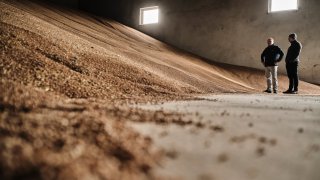 Farmers inspect unsold grain stores on a farm in Sedziejowo, Poland, on Monday, April 17, 2023.