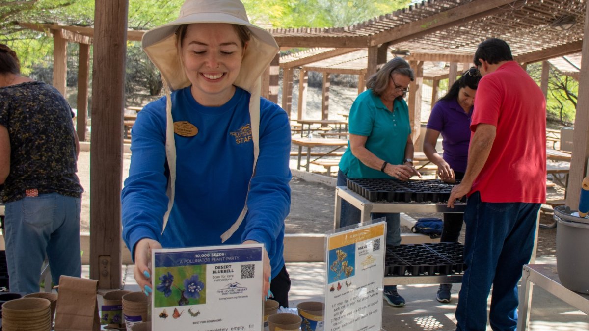 The Living Desert Hopes to Plant 10,000 Seeds in Honor of Earth Day - Vimarsana News