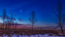 Venus (at left) and Jupiter close together in the dawn sky, and to the east of Scorpius, here at right, with reddish Antares between the trees. This was January 26, 2019. The two planets were closer together earlier in the week but clouds got in the way! Illumination is from the waning gibbous Moon off frame at right.   This is a stack of 5 exposures for the ground to smooth noise, and a single untracked exposure for the sky, all 10 seconds at f/4 with the 50mm Sigma lens and Canon 6D MkII at ISO 500. Shot from the back acres of my home site in Alberta on a mild winter morning, with some light cloud drifting through.   The sky and ground have been enhanced with Orton-style glow effects applied with Luminar 3. The diffraction spikes were added with Astronomy Tools actions. So, yes, this is a ÒprocessedÓ image, punched up a bit to look pretty. It also provides a good demo example of Rule of Thirds composition. (Photo by: Alan Dyer/VWPics/Universal Images Group via Getty Images)