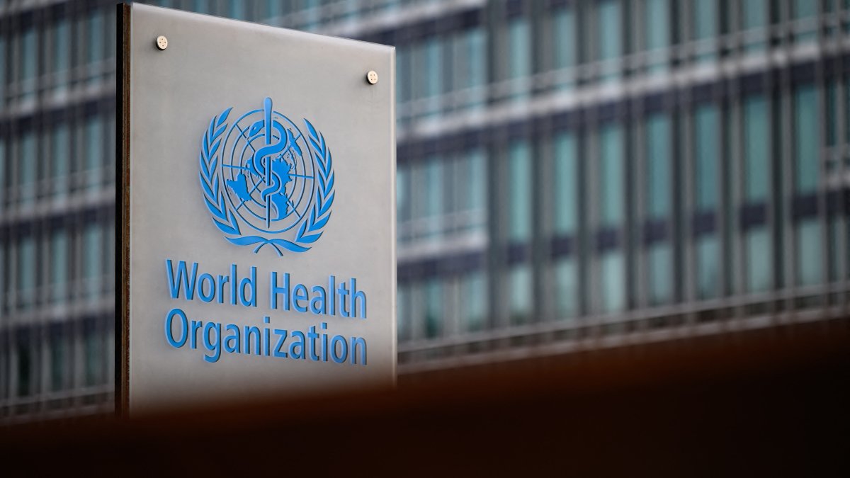 WHO declares mpox outbreaks in Africa a global health emergency – NBC Los Angeles