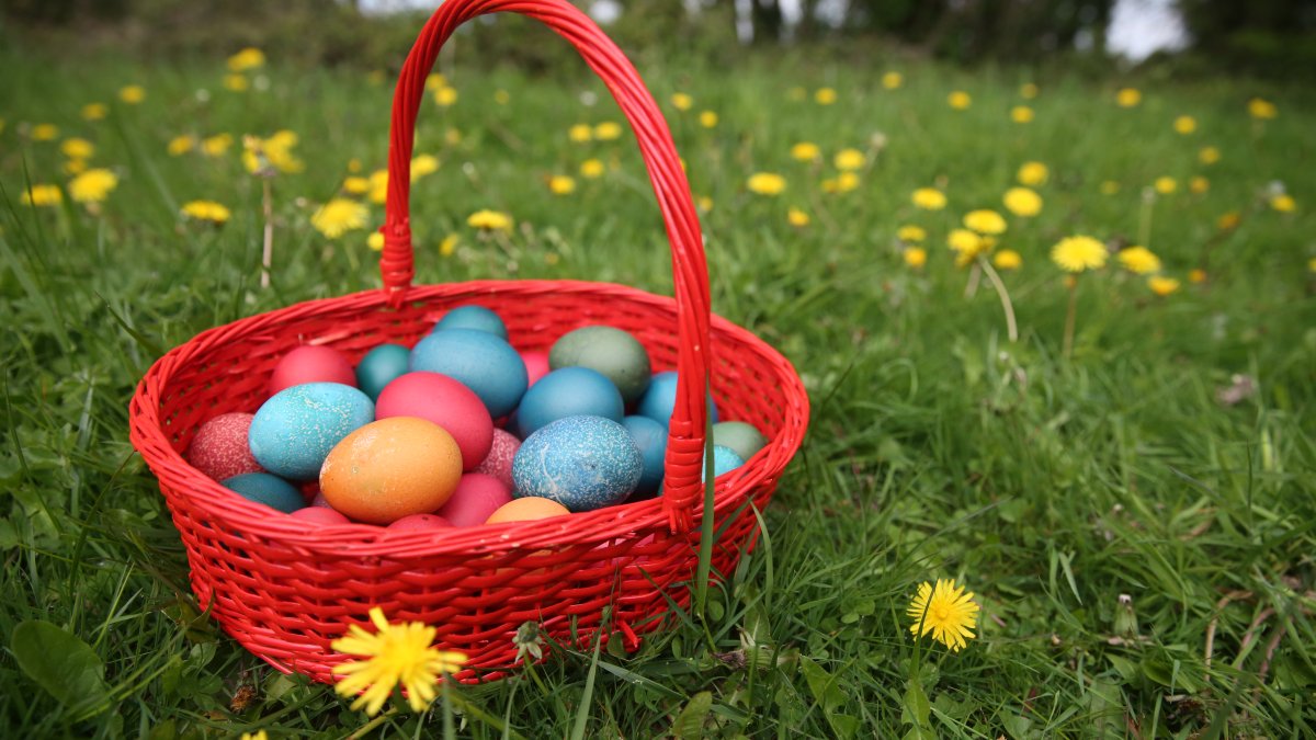 Free LA County Parks fun, from egg hunts to crafts, will bloom during the 'Spring Jubilee' – NBC Los Angeles - Vimarsana News