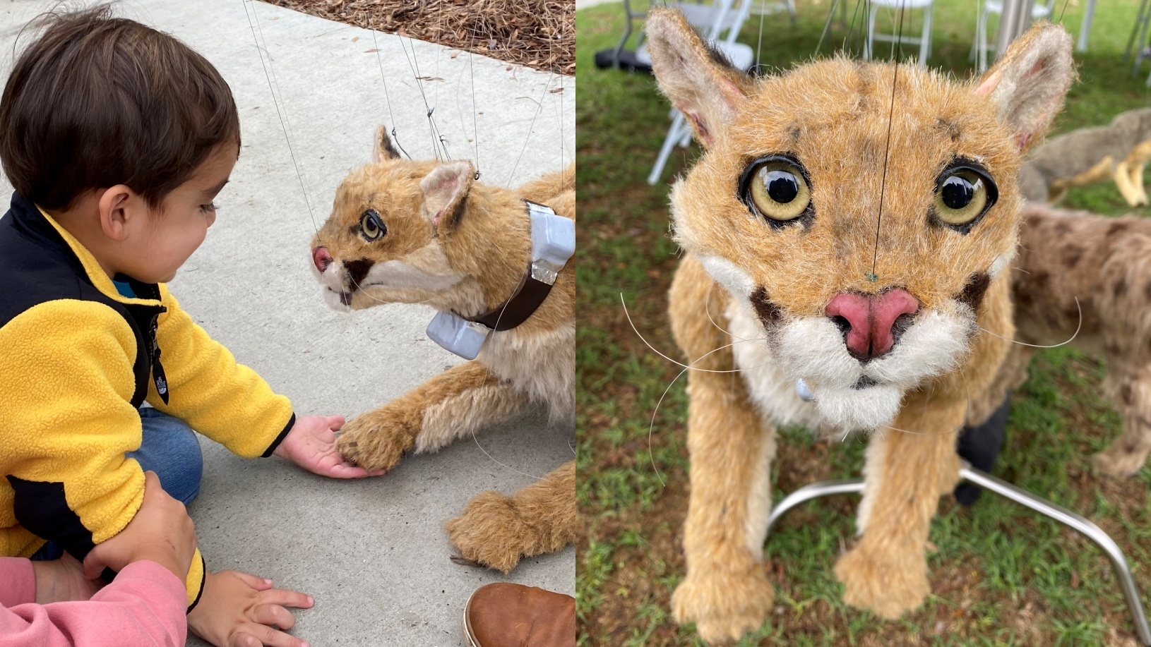 Meet the Sweet P-22 Marionette at the Skirball Puppet Festival