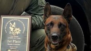 Riverside County Sheriff's K9 Rudy is pictured in this undated photo.
