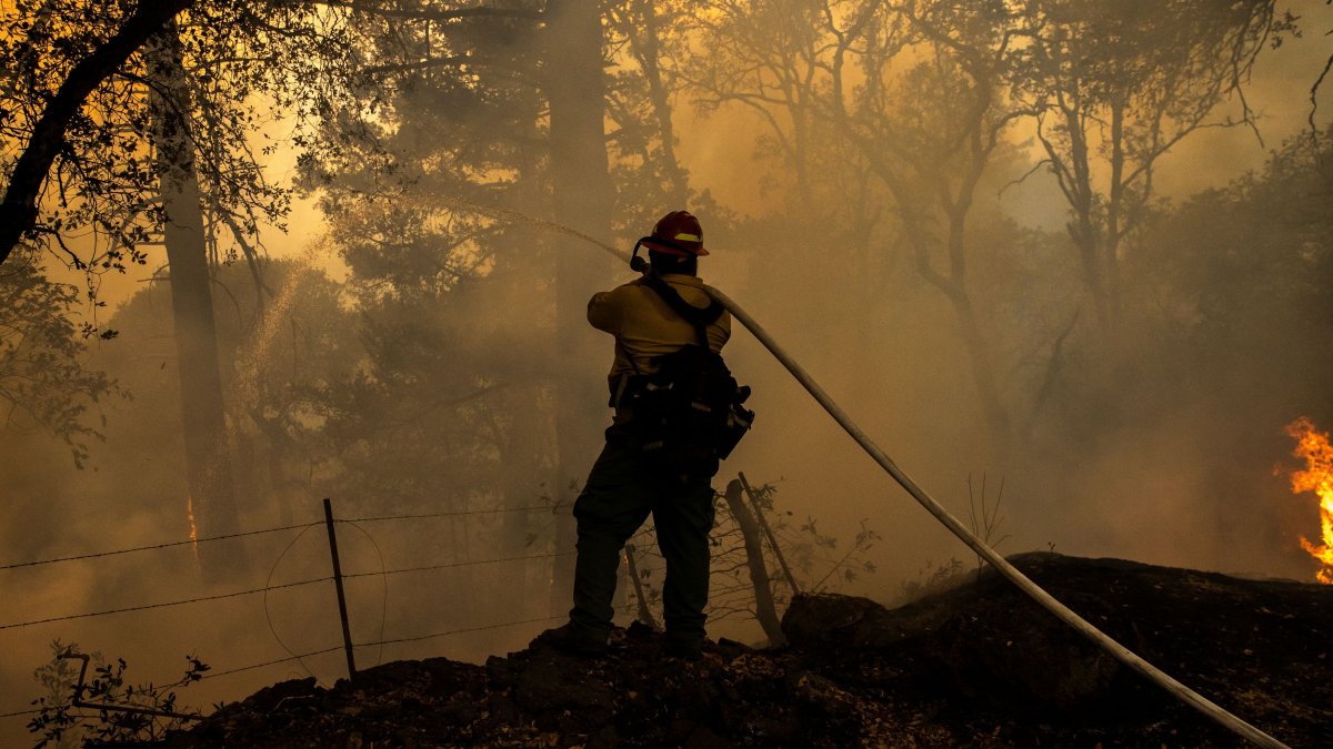 California to write new rules for property insurance pricing. What that means for homeowners