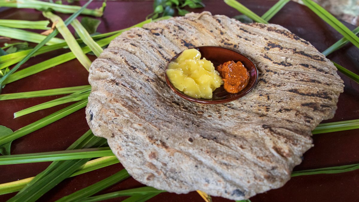Cacti, Wild Coffee and False Bananas: Scientists Sketch Out the Menus of the Future - Vimarsana News