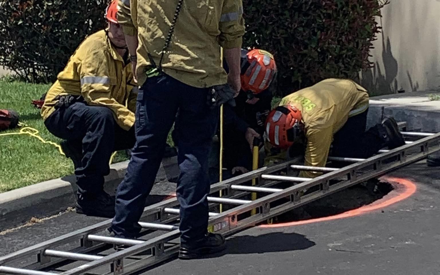 Photos: Firefighters Rescue Dog From a San Bernardino Sinkhole – NBC ...