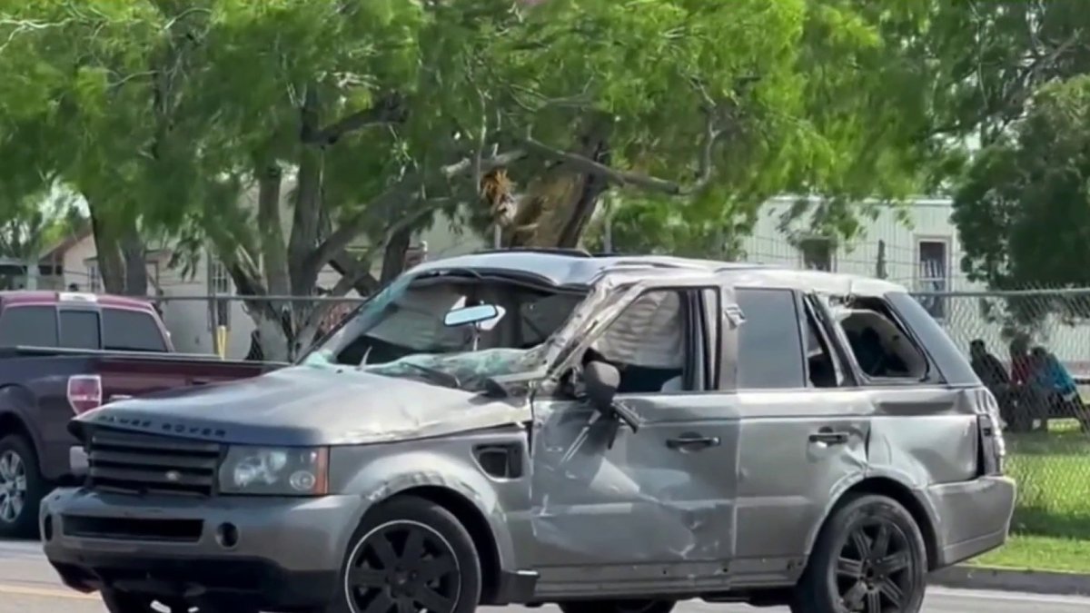 8 Migrants Killed in Texas Bus Stop Crash – NBC Los Angeles