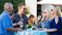 Cheers to the Catalina Wine Mixer, a Cinematic Sparkler With Comedy Flair