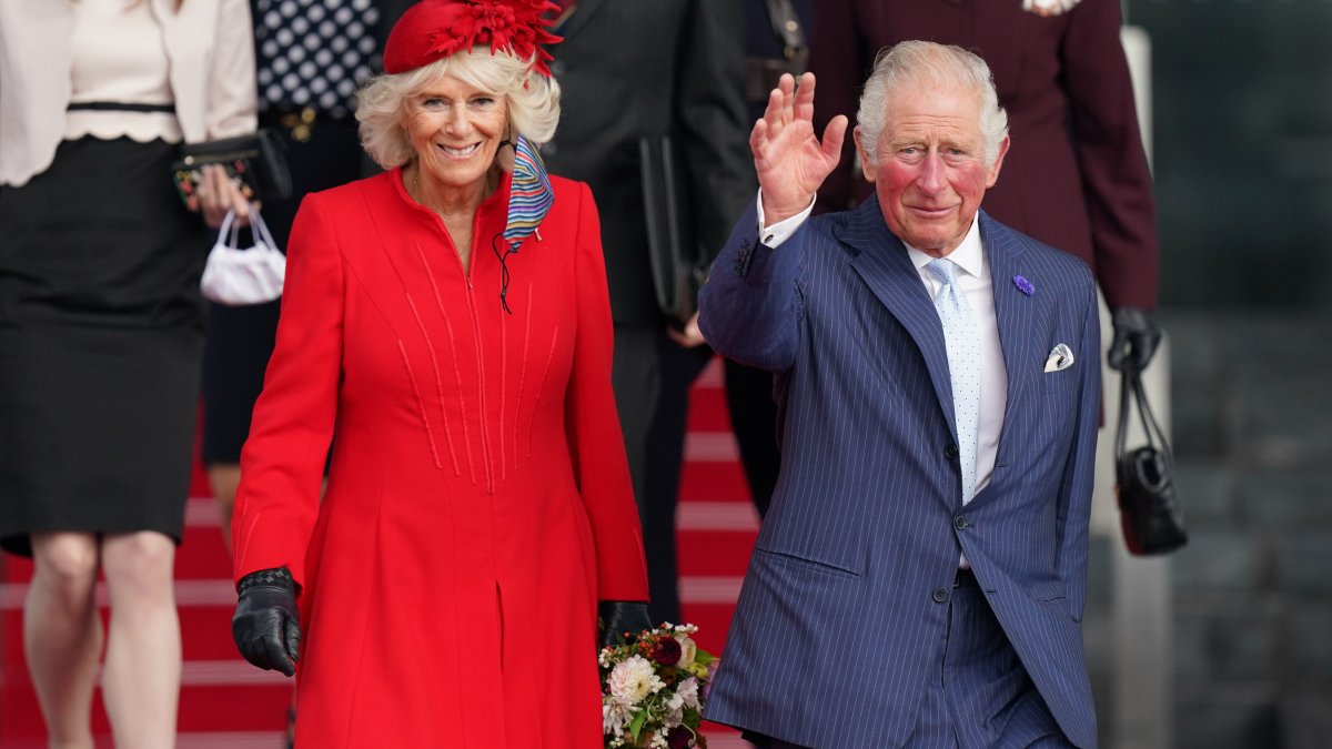 How to Watch King Charles III Corroboration on TV and Online NBC Los