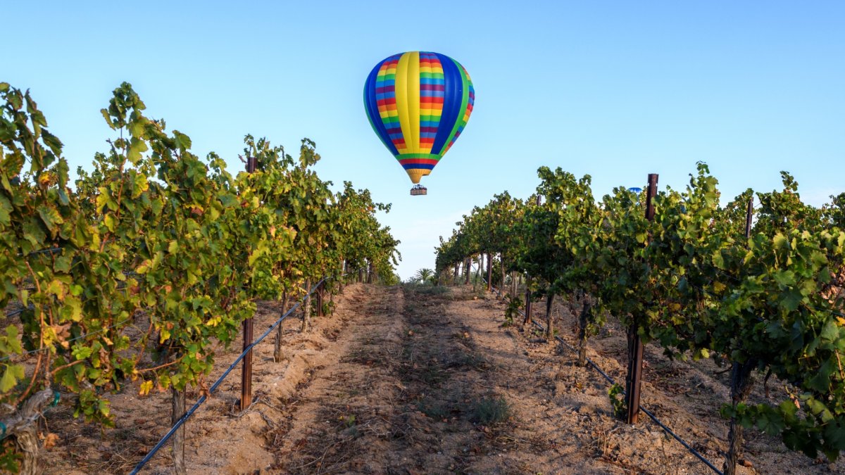 Hot Air Ballooning & Balloon Rides in Temecula Valley, California